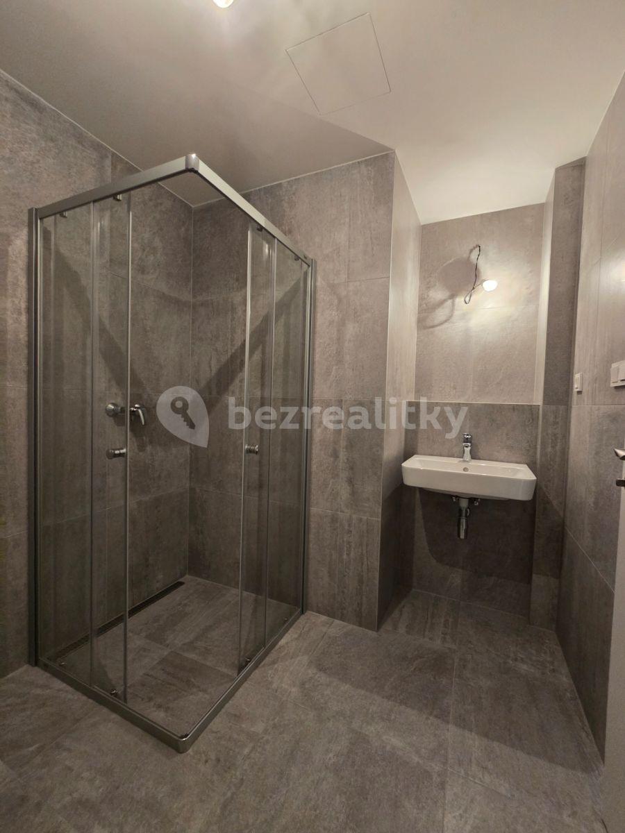 Studio flat to rent, 32 m², Mezi Vodami, Prague, Prague