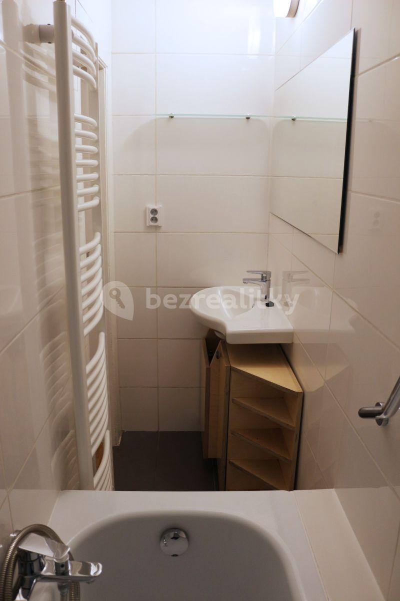 1 bedroom with open-plan kitchen flat to rent, 41 m², Bořivojova, Prague, Prague