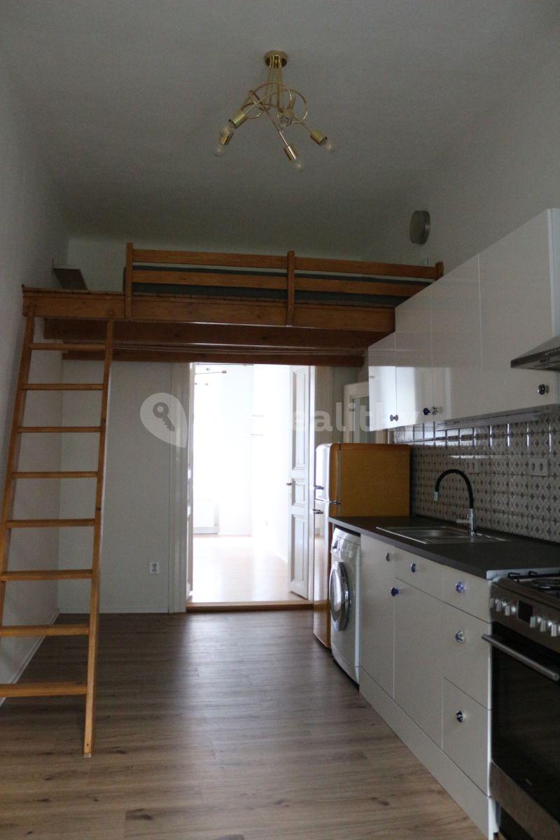 1 bedroom with open-plan kitchen flat to rent, 41 m², Bořivojova, Prague, Prague