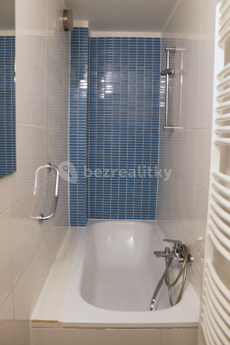 1 bedroom with open-plan kitchen flat to rent, 41 m², Bořivojova, Prague, Prague