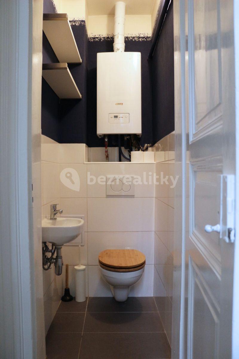 1 bedroom with open-plan kitchen flat to rent, 41 m², Bořivojova, Prague, Prague