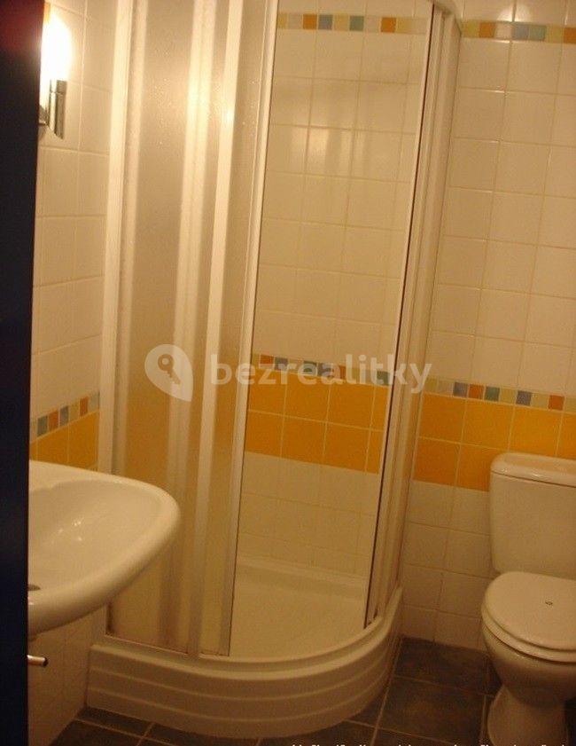 Studio flat to rent, 28 m², K Mohyle, Prague, Prague