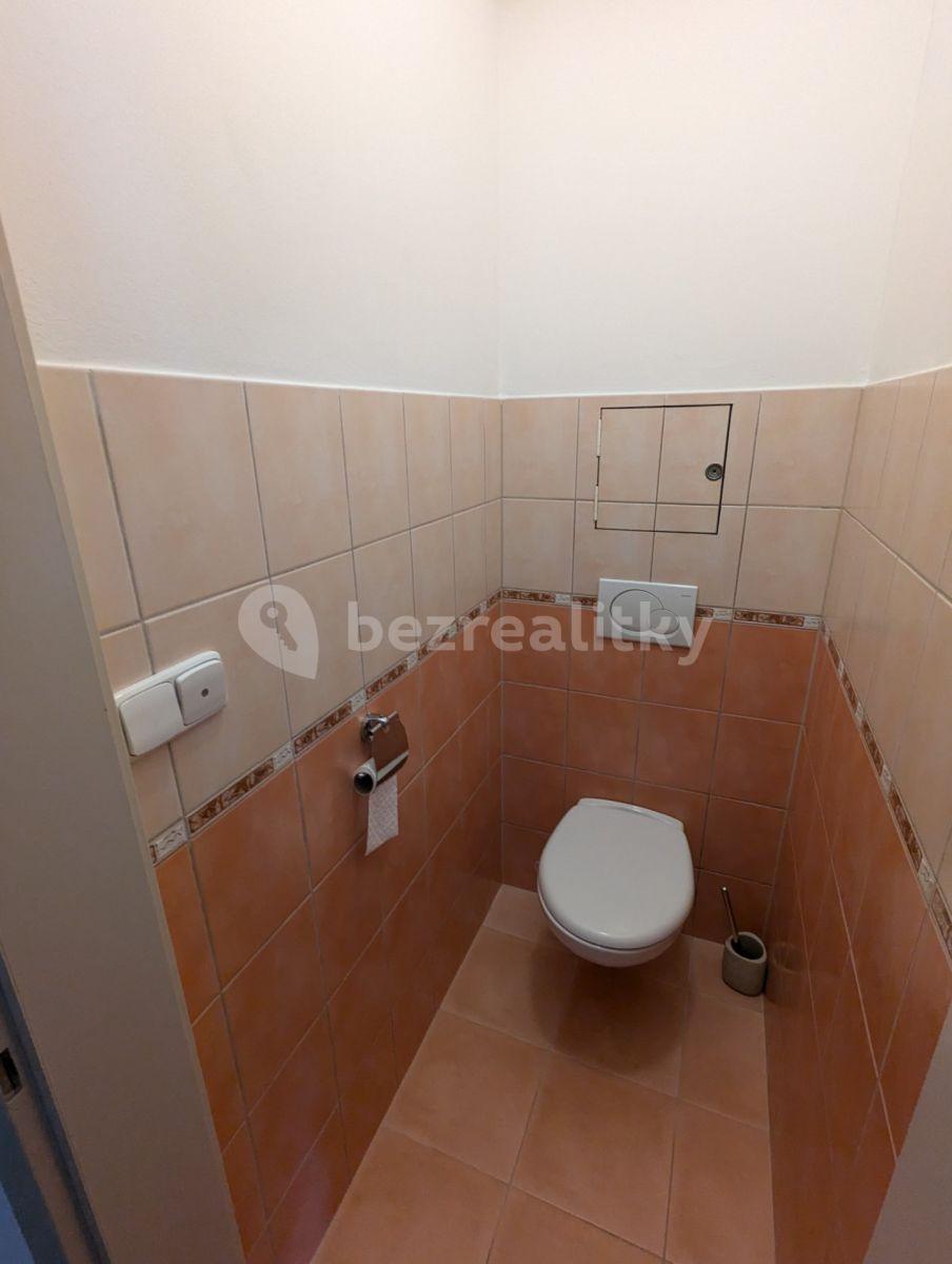 1 bedroom with open-plan kitchen flat to rent, 68 m², Budilova, Prague, Prague