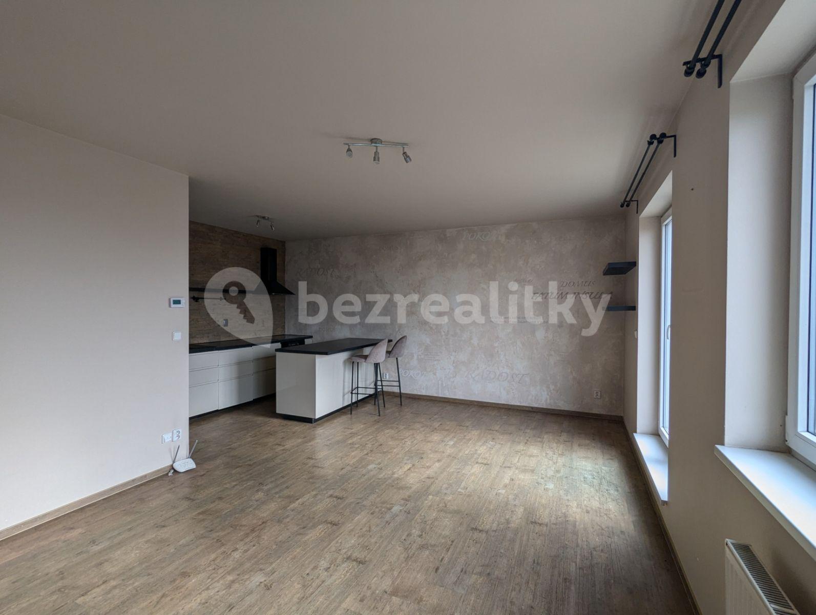 1 bedroom with open-plan kitchen flat to rent, 68 m², Budilova, Prague, Prague