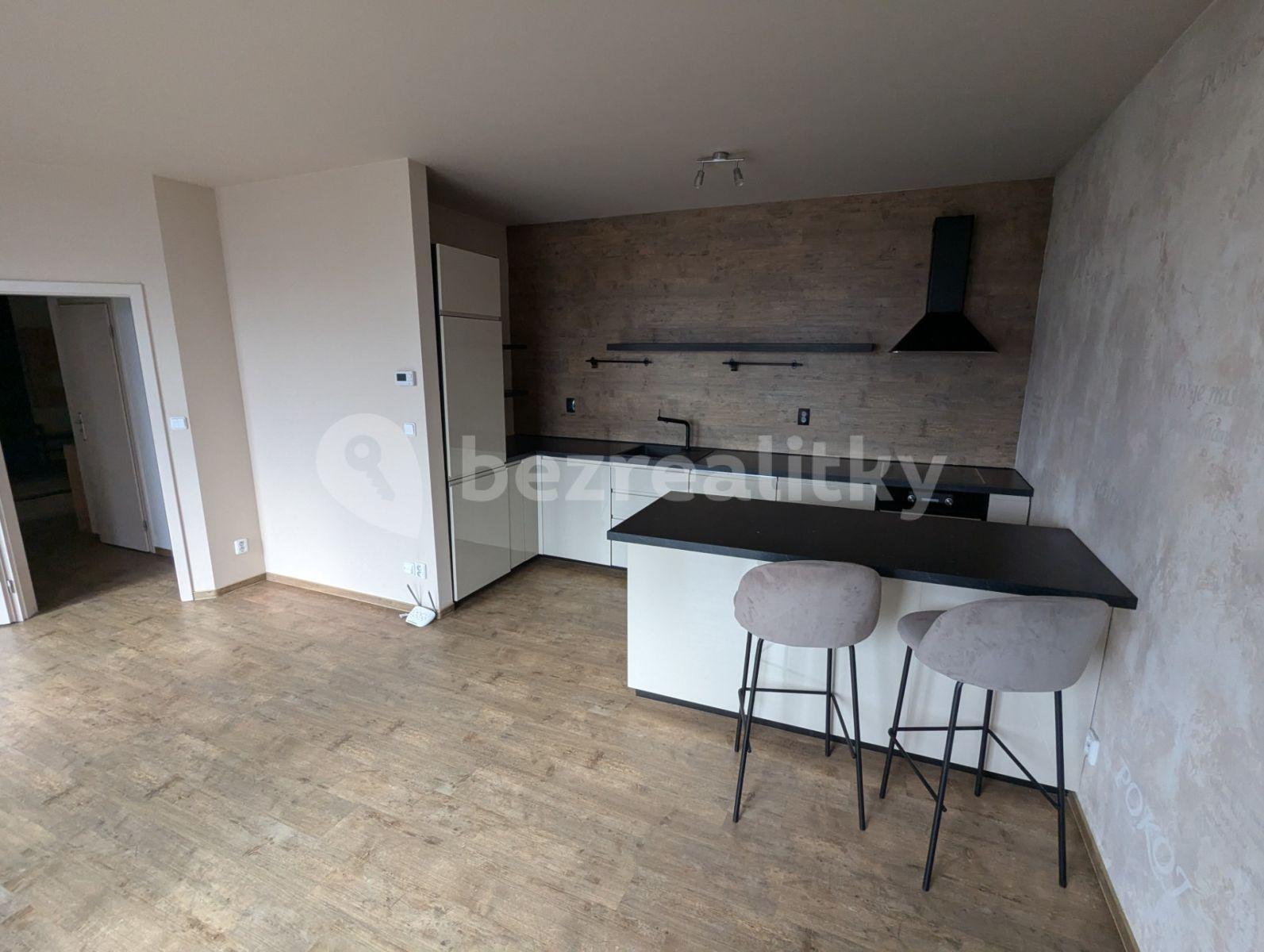 1 bedroom with open-plan kitchen flat to rent, 68 m², Budilova, Prague, Prague