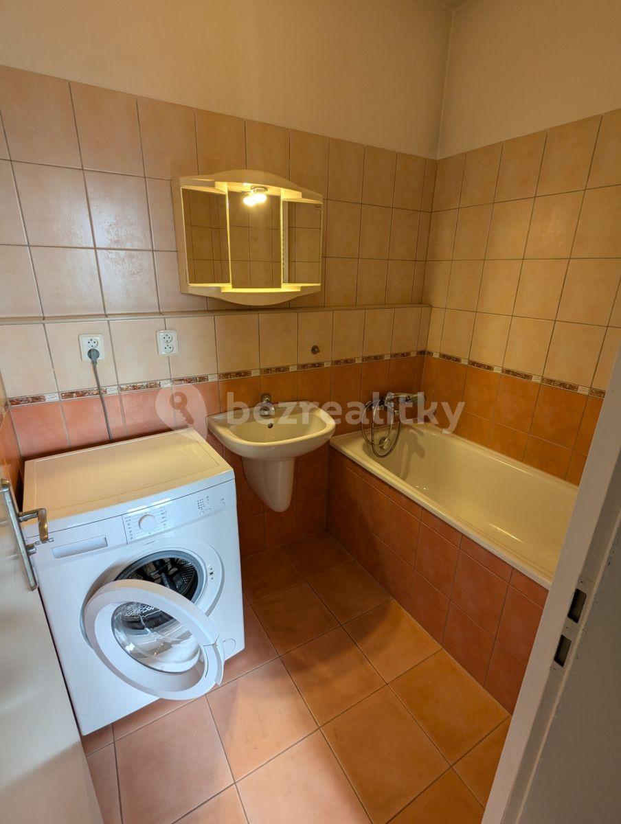 1 bedroom with open-plan kitchen flat to rent, 68 m², Budilova, Prague, Prague