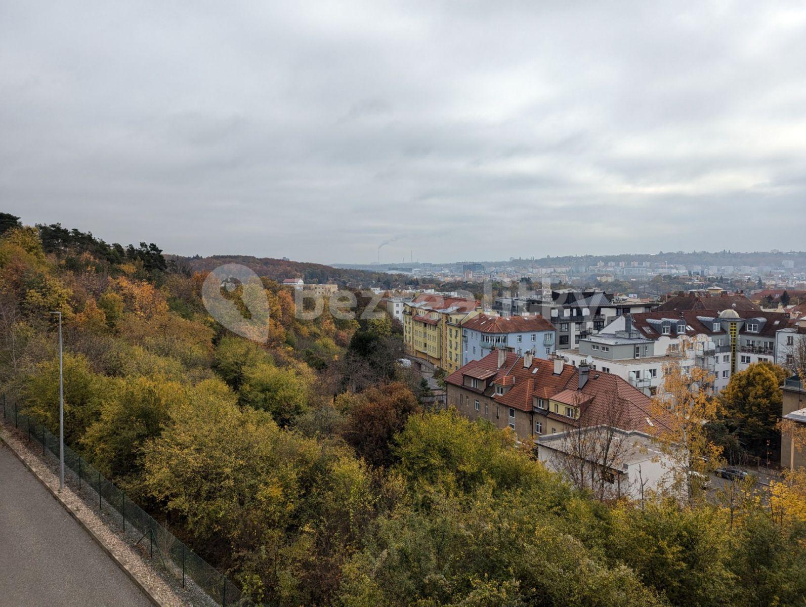 1 bedroom with open-plan kitchen flat to rent, 68 m², Budilova, Prague, Prague