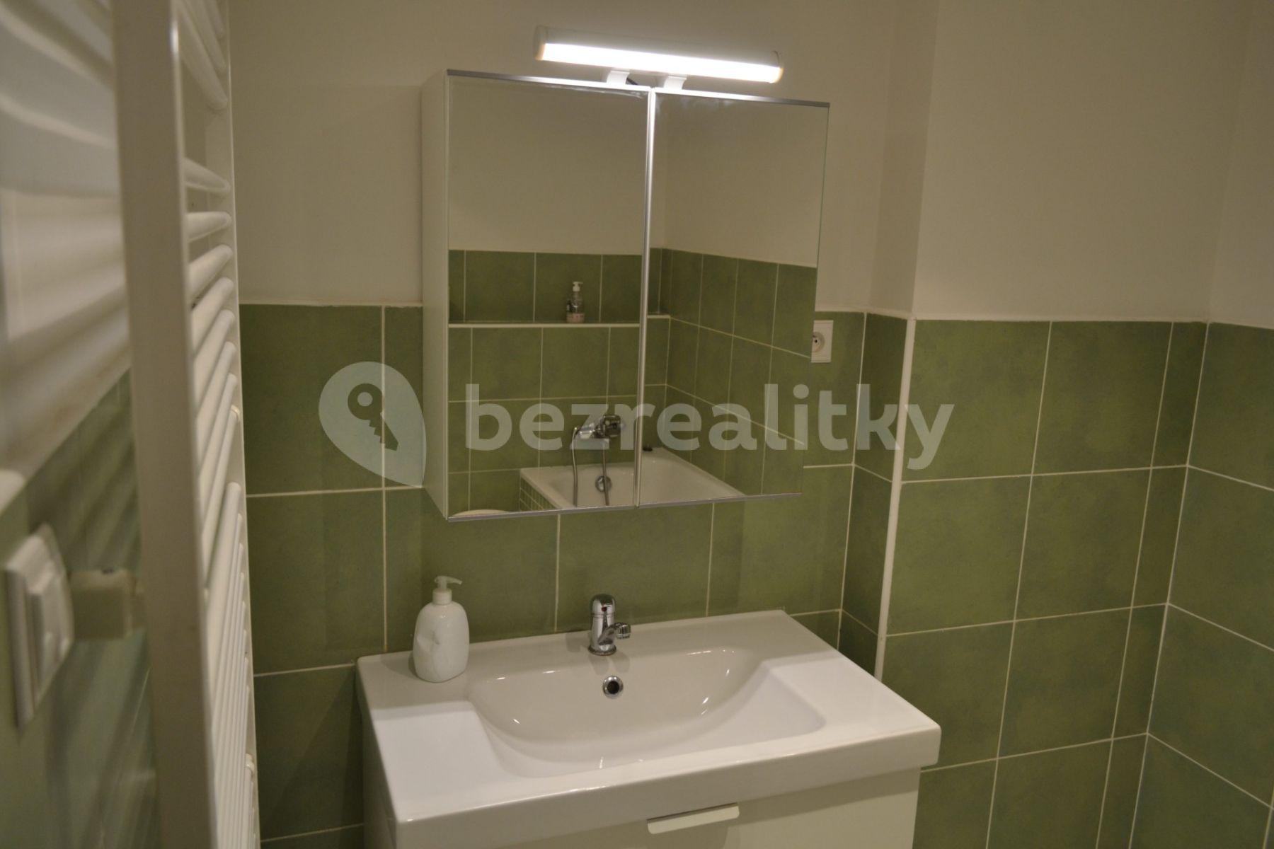 1 bedroom with open-plan kitchen flat to rent, 68 m², Pod Klaudiánkou, Prague, Prague