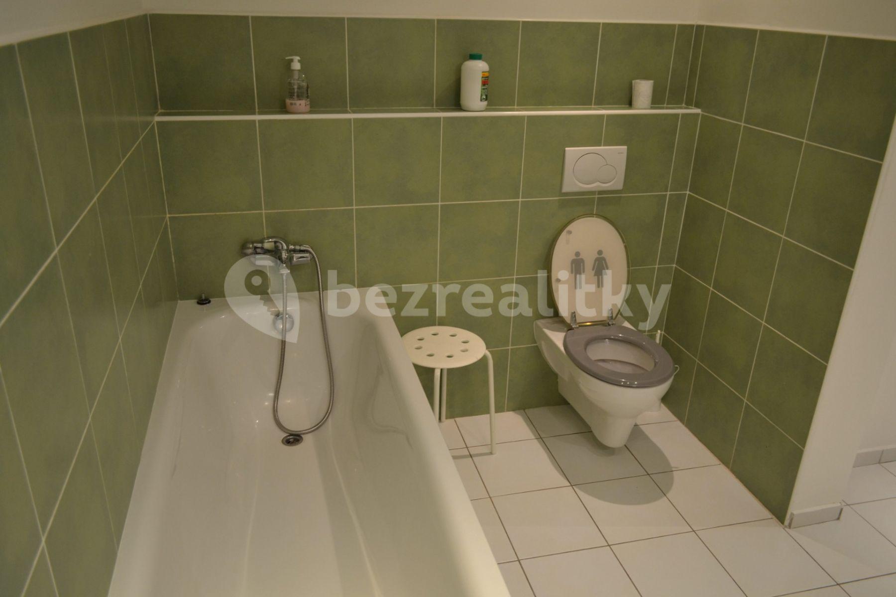 1 bedroom with open-plan kitchen flat to rent, 68 m², Pod Klaudiánkou, Prague, Prague