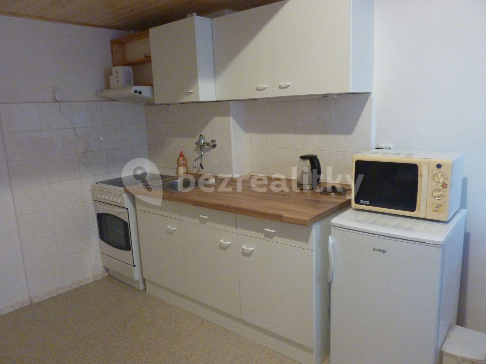 1 bedroom with open-plan kitchen flat to rent, 43 m², Víta Nejedlého, Prague, Prague