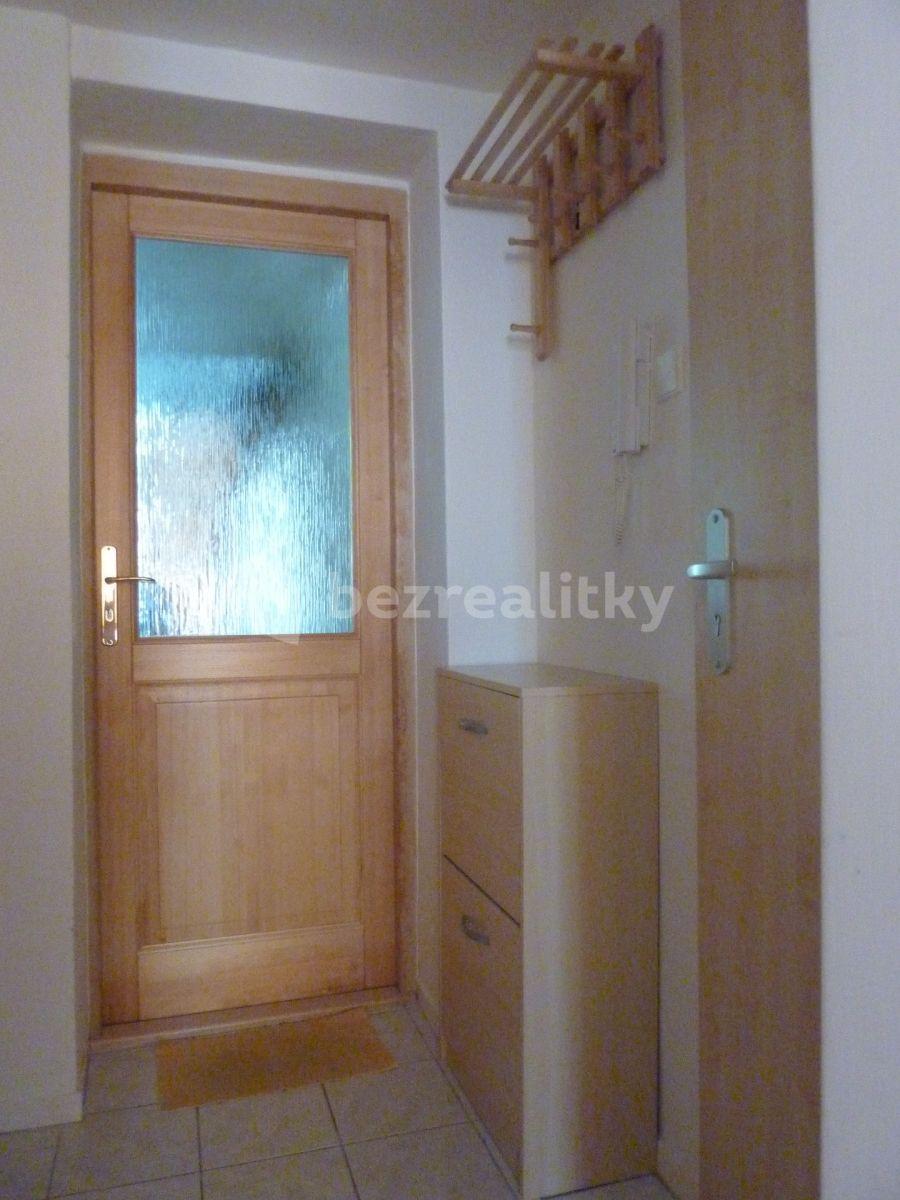 1 bedroom with open-plan kitchen flat to rent, 43 m², Víta Nejedlého, Prague, Prague