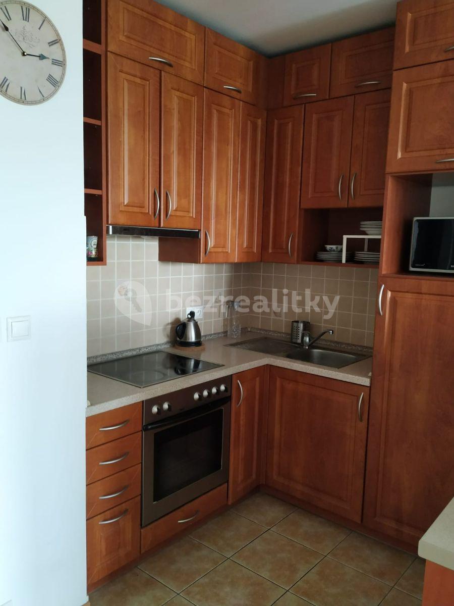 1 bedroom with open-plan kitchen flat to rent, 53 m², Bechlínská, Prague, Prague