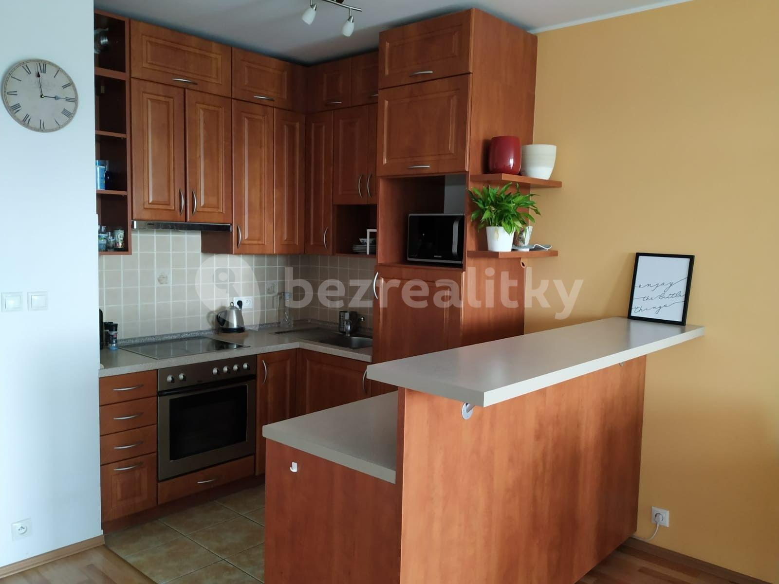 1 bedroom with open-plan kitchen flat to rent, 53 m², Bechlínská, Prague, Prague