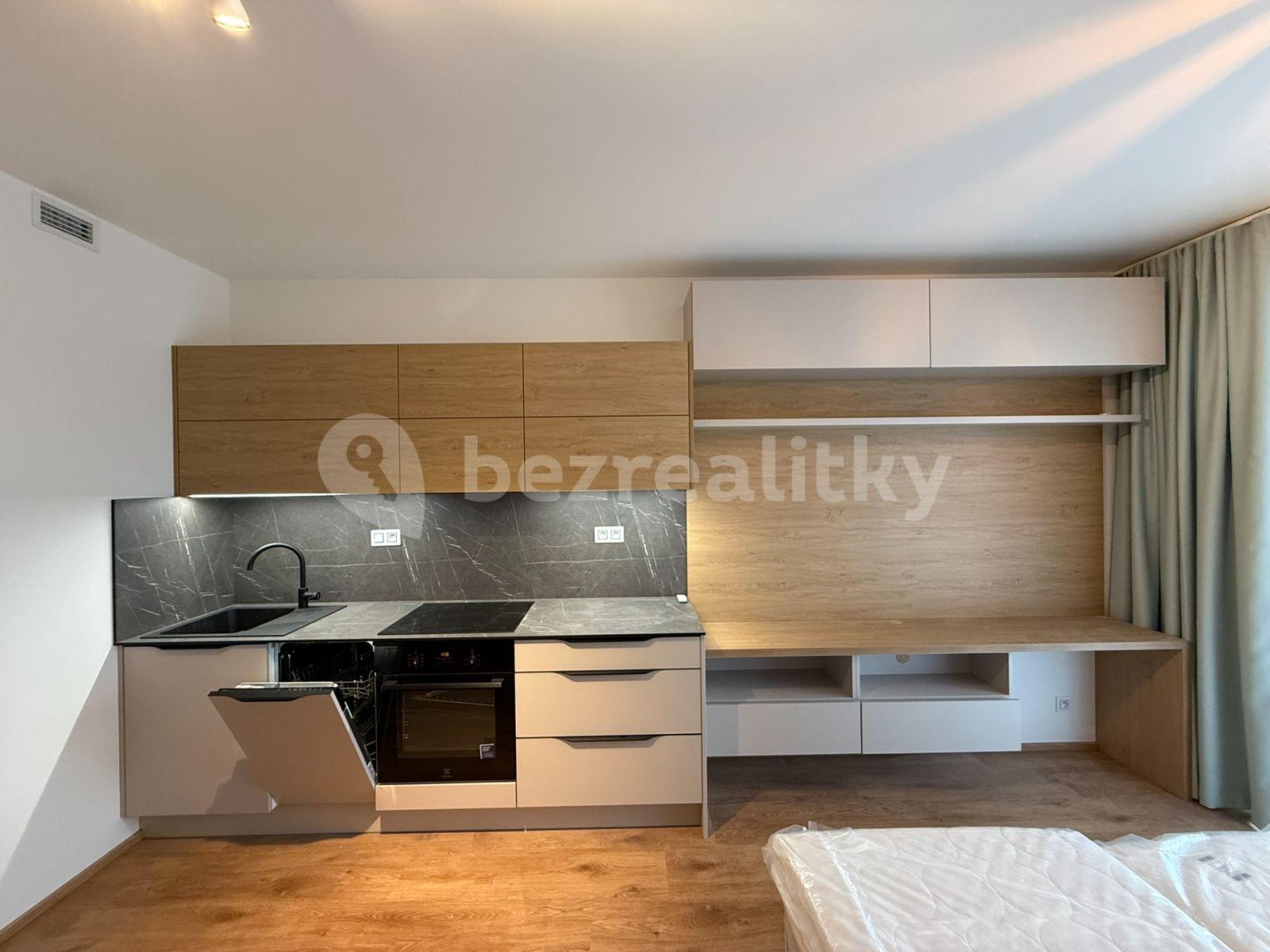 Studio flat to rent, 30 m², Tetauerova, Prague, Prague