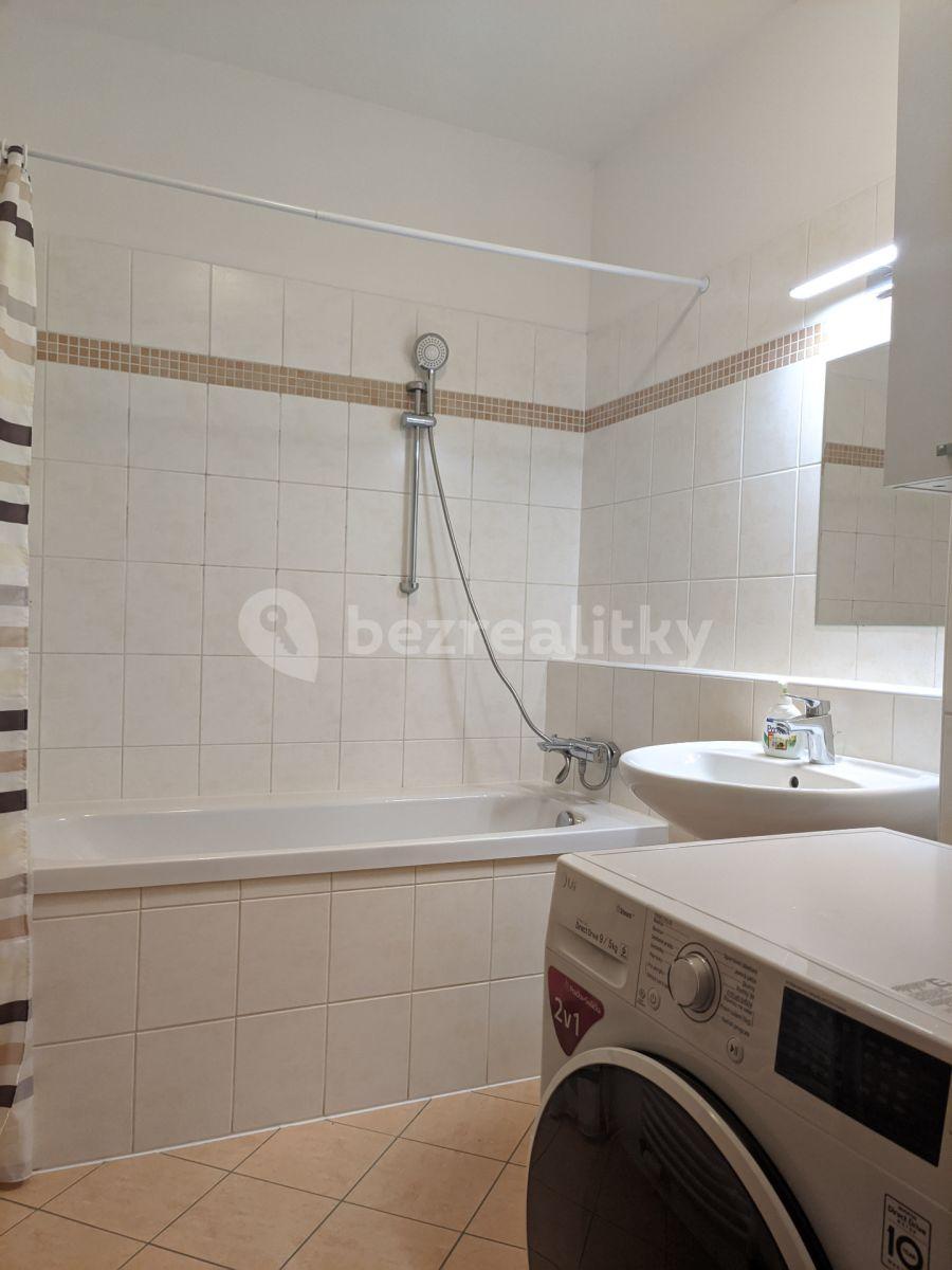 1 bedroom with open-plan kitchen flat to rent, 45 m², Berlínská, Prague, Prague