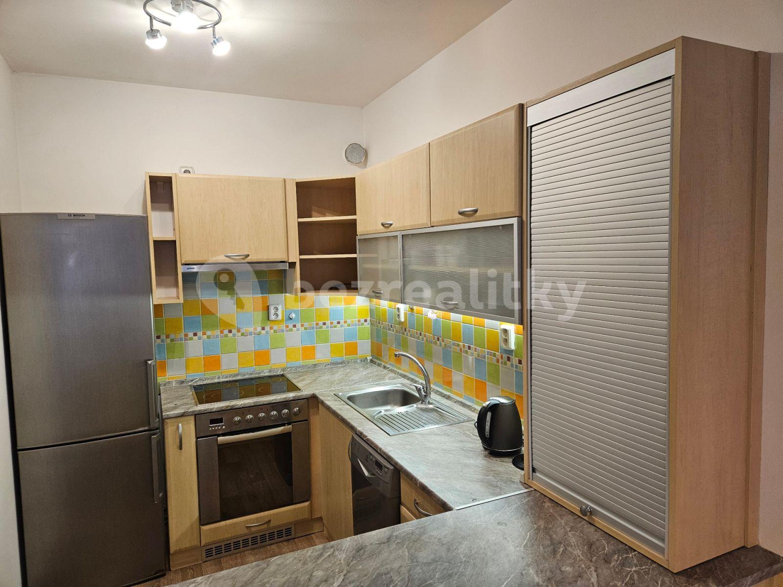 1 bedroom with open-plan kitchen flat to rent, 45 m², Berlínská, Prague, Prague