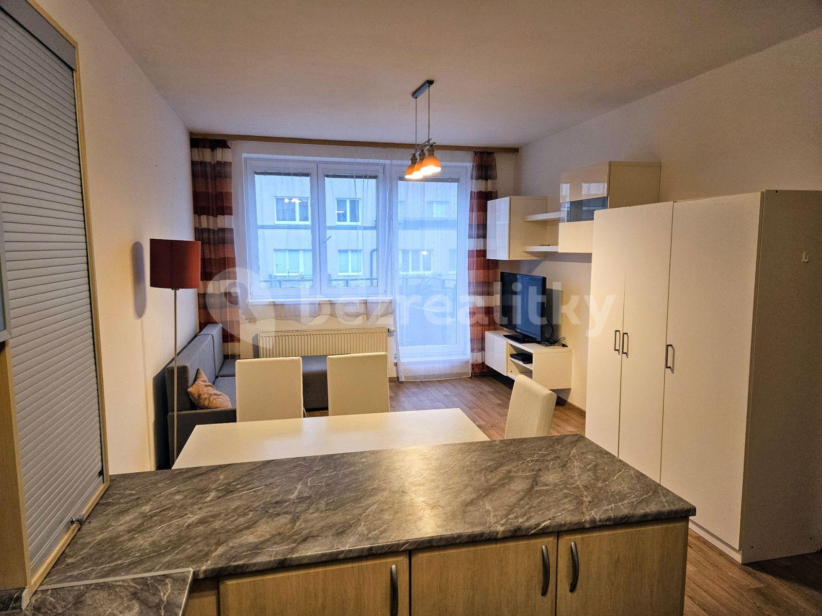 1 bedroom with open-plan kitchen flat to rent, 45 m², Berlínská, Prague, Prague