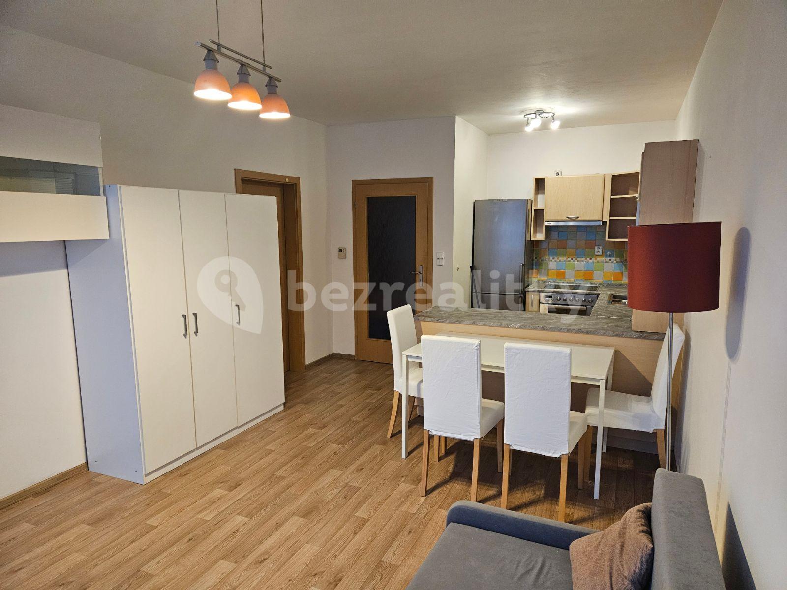 1 bedroom with open-plan kitchen flat to rent, 45 m², Berlínská, Prague, Prague