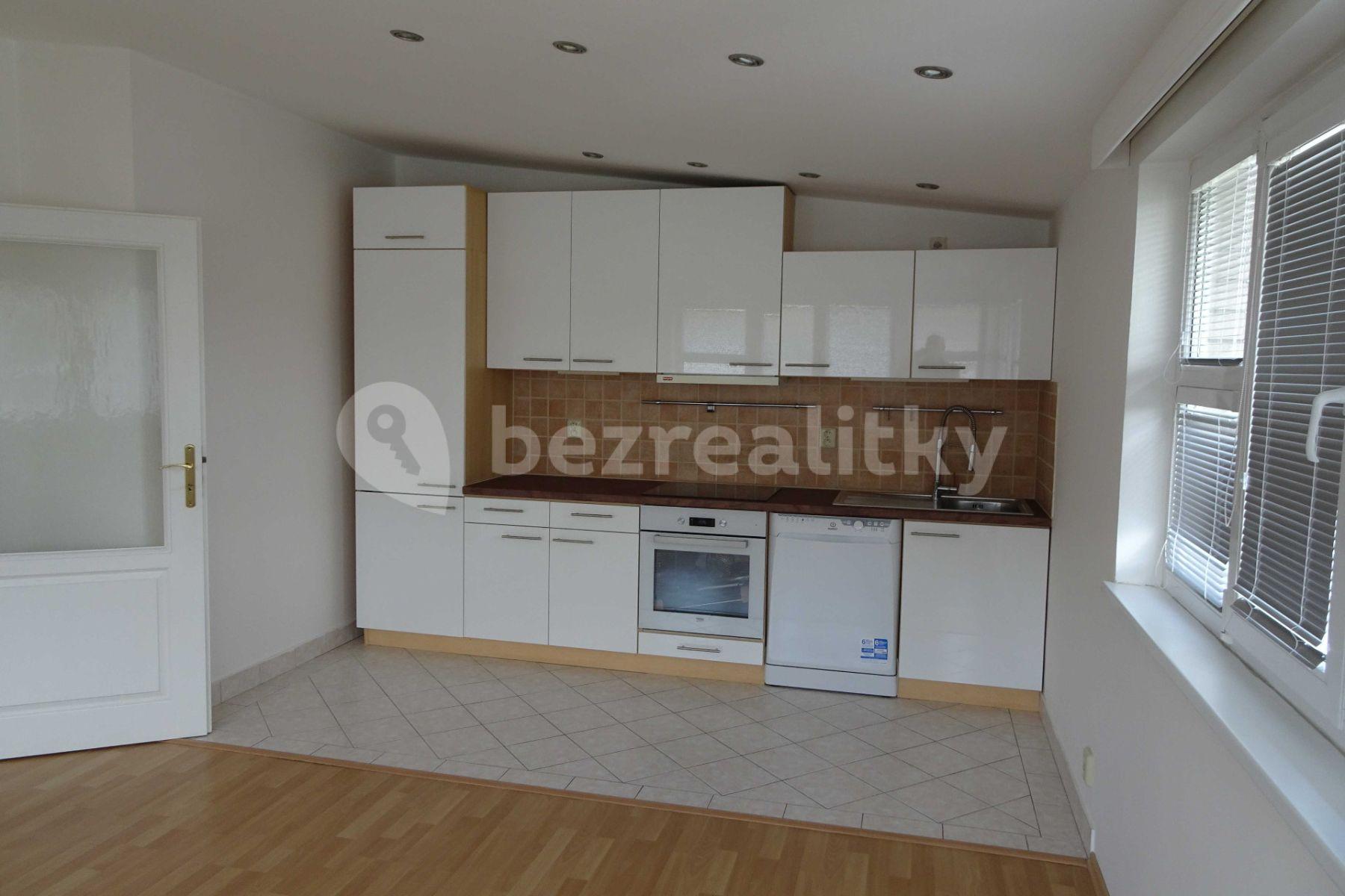 1 bedroom with open-plan kitchen flat to rent, 44 m², Na Lysině, Prague, Prague