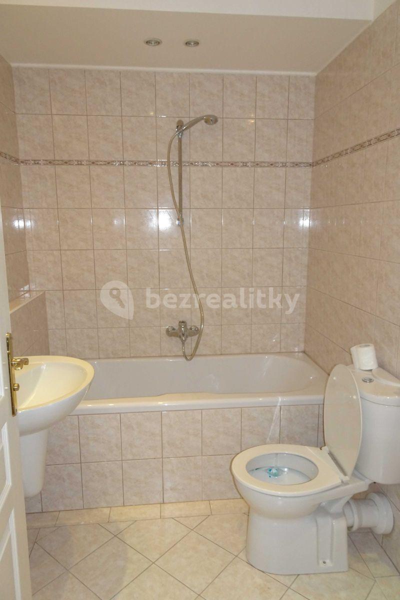 1 bedroom with open-plan kitchen flat to rent, 44 m², Na Lysině, Prague, Prague