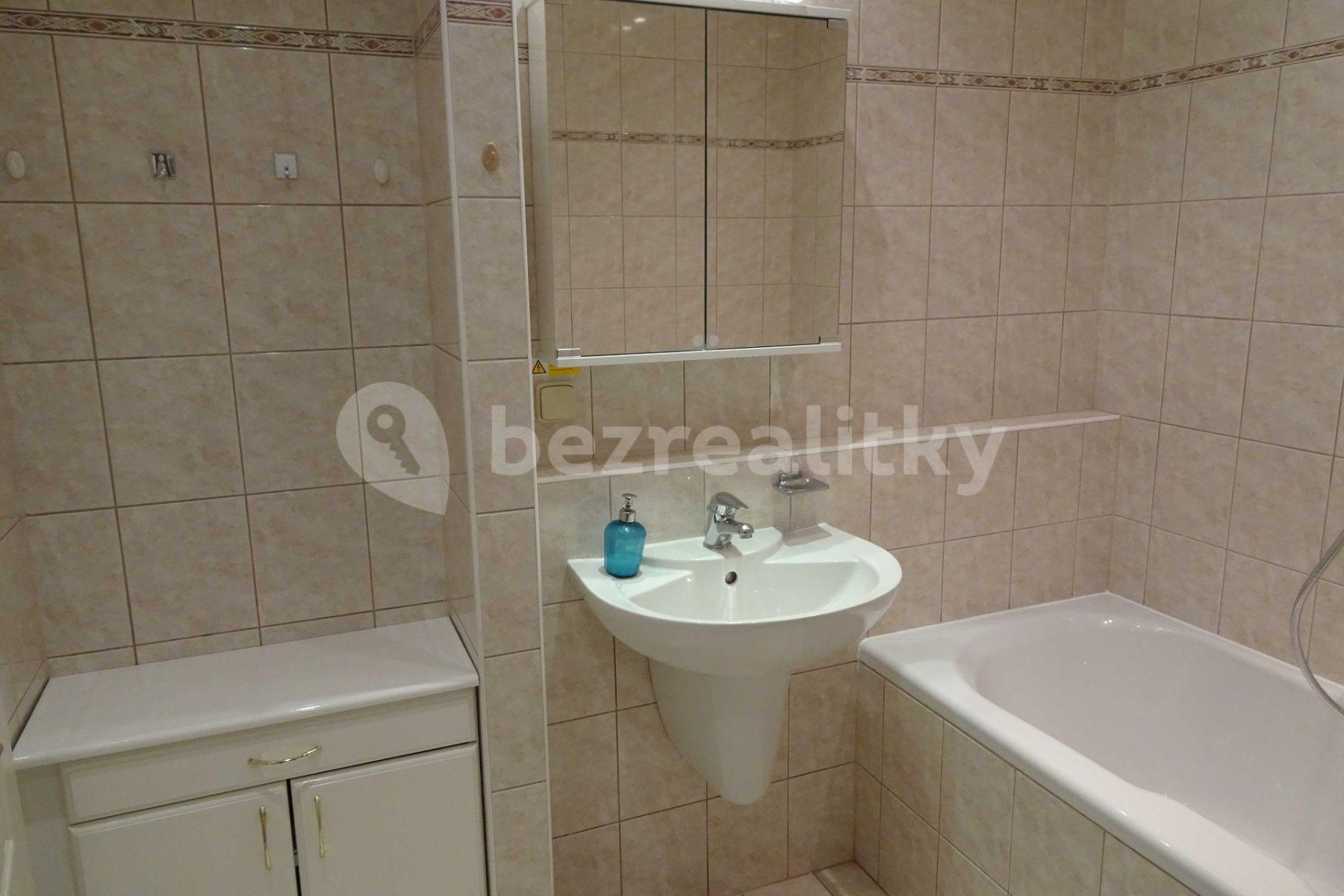 1 bedroom with open-plan kitchen flat to rent, 44 m², Na Lysině, Prague, Prague