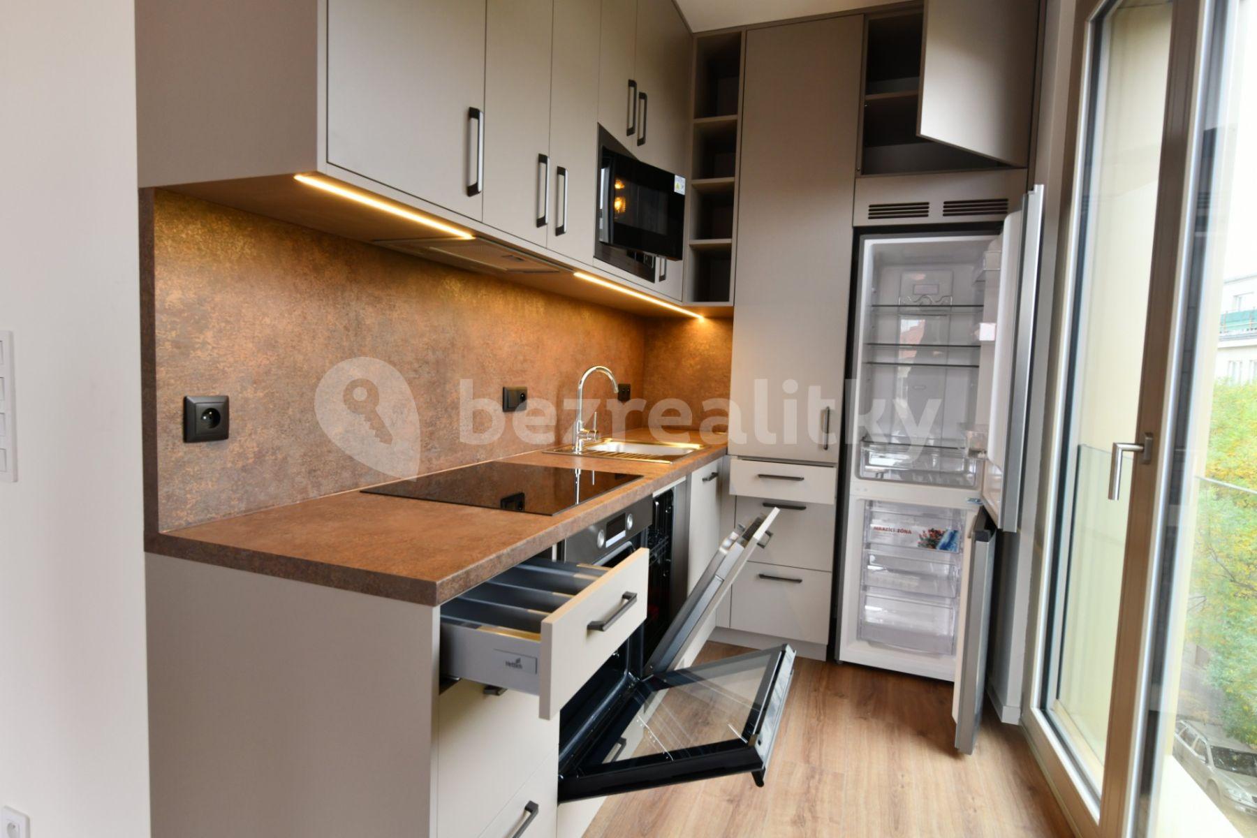 1 bedroom with open-plan kitchen flat to rent, 49 m², V Domově, Prague, Prague