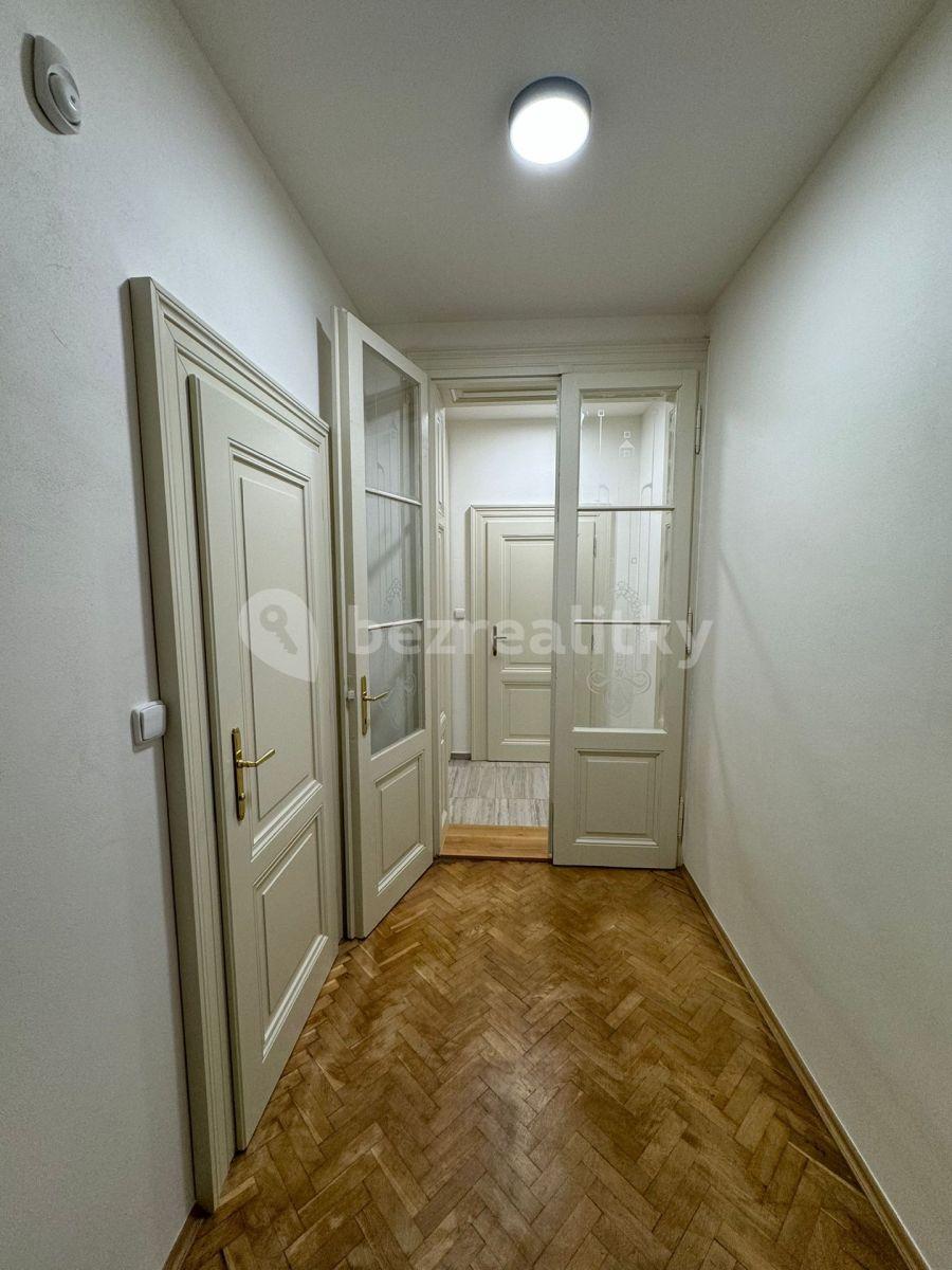 1 bedroom with open-plan kitchen flat to rent, 56 m², Jungmannova, Prague, Prague