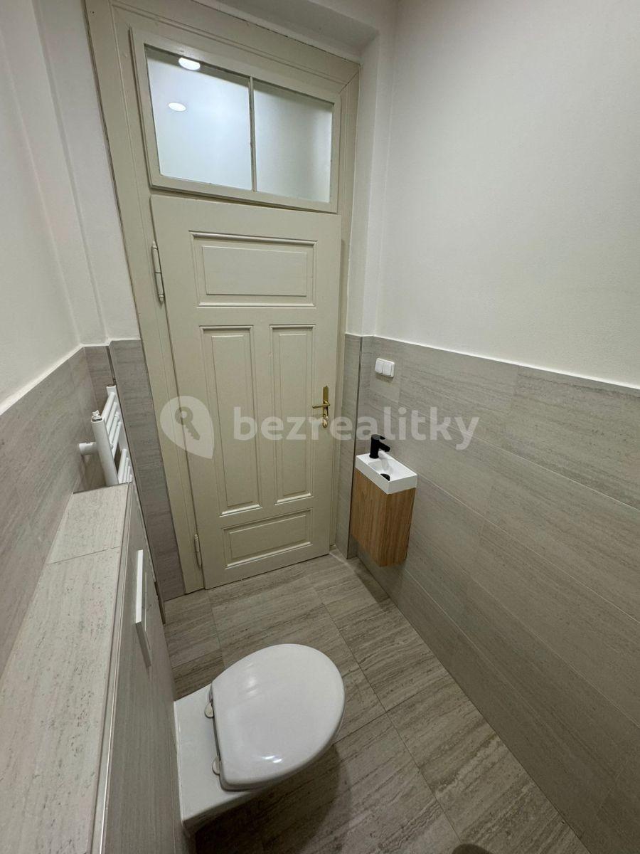 1 bedroom with open-plan kitchen flat to rent, 56 m², Jungmannova, Prague, Prague