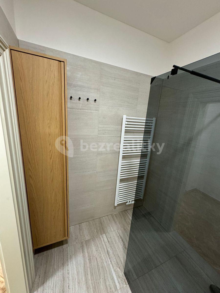 1 bedroom with open-plan kitchen flat to rent, 56 m², Jungmannova, Prague, Prague