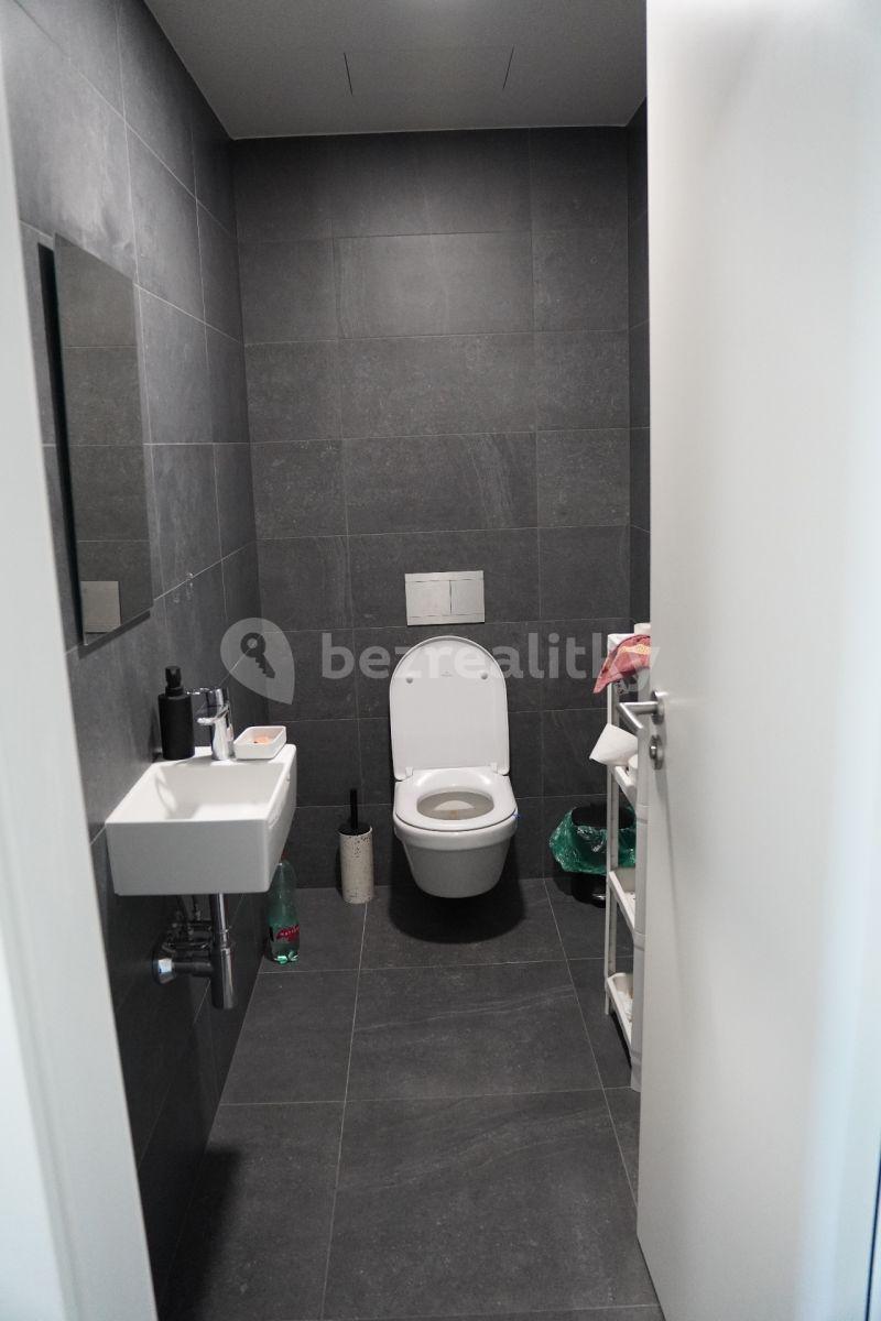 3 bedroom with open-plan kitchen flat to rent, 137 m², Lerausova, Prague, Prague