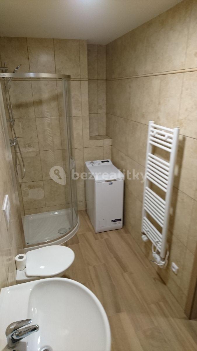 1 bedroom with open-plan kitchen flat to rent, 55 m², náměstí Generála Kutlvašra, Prague, Prague