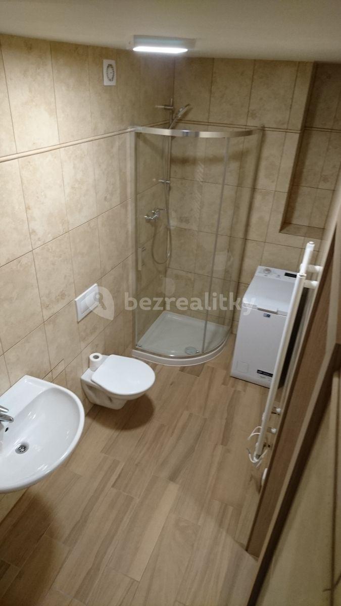 1 bedroom with open-plan kitchen flat to rent, 55 m², náměstí Generála Kutlvašra, Prague, Prague