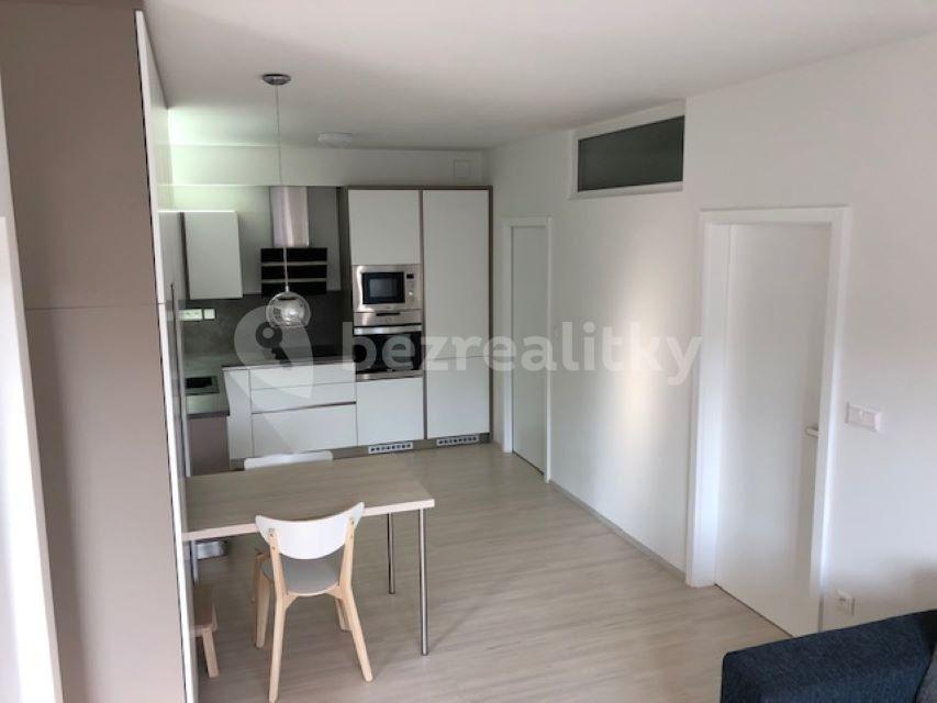 1 bedroom with open-plan kitchen flat to rent, 50 m², Meziříčská, Rožnov pod Radhoštěm, Zlínský Region