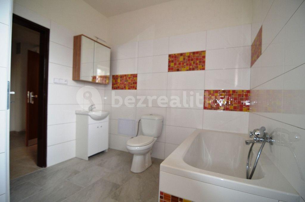 1 bedroom with open-plan kitchen flat to rent, 61 m², U Statku, Liberec, Liberecký Region