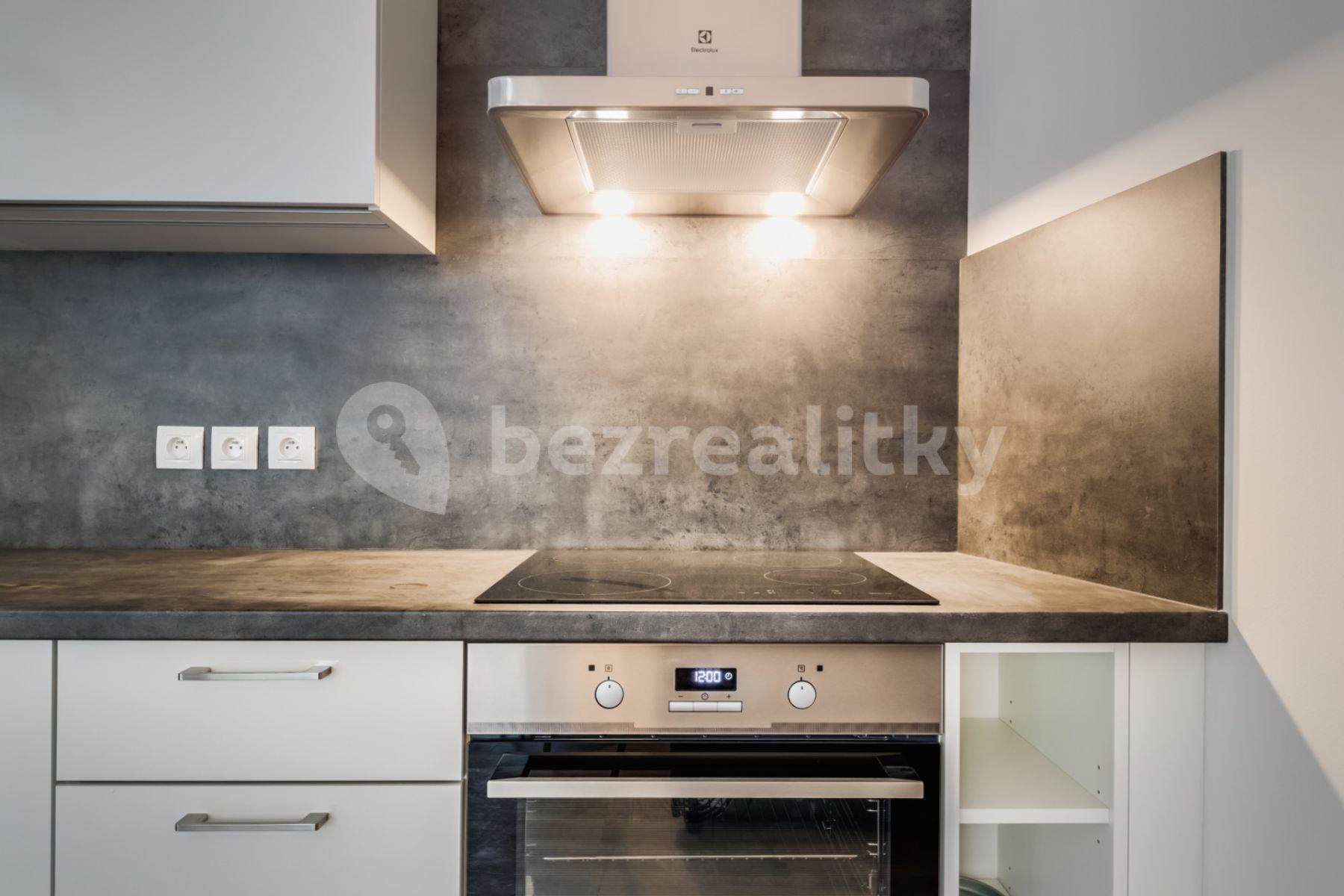 1 bedroom with open-plan kitchen flat for sale, 48 m², Pod Barvířkou, Prague, Prague