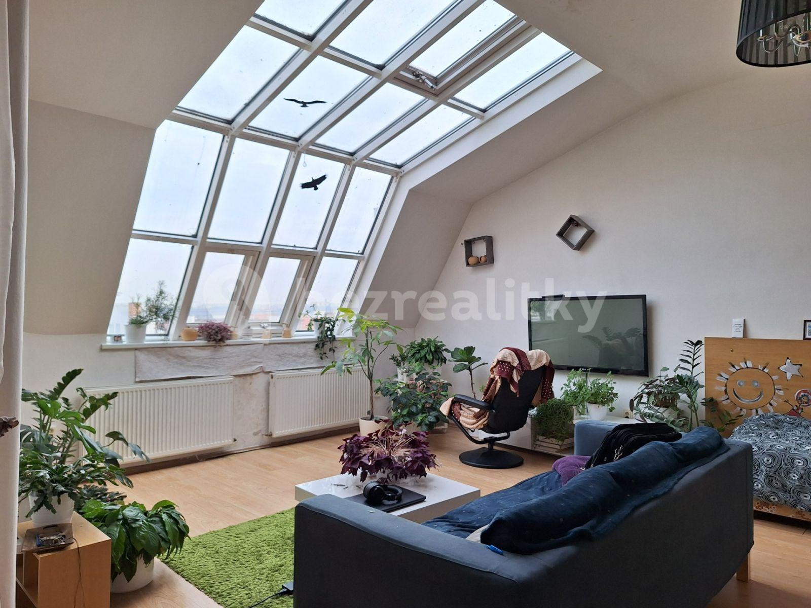 1 bedroom with open-plan kitchen flat to rent, 85 m², Václavkova, Prague, Prague