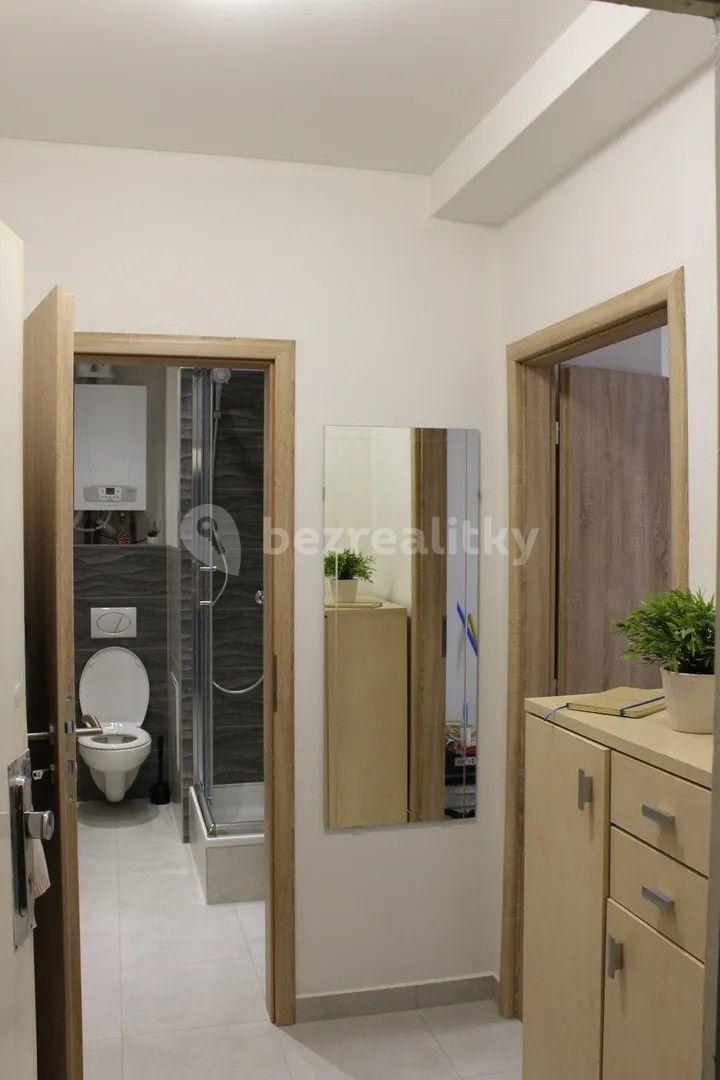 1 bedroom with open-plan kitchen flat to rent, 43 m², Renneská třída, Brno, Jihomoravský Region