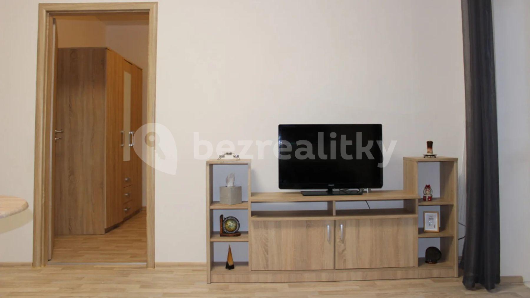 1 bedroom with open-plan kitchen flat to rent, 43 m², Renneská třída, Brno, Jihomoravský Region