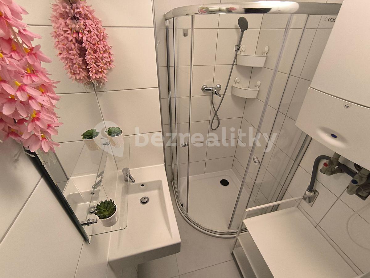 2 bedroom with open-plan kitchen flat to rent, 62 m², Plzeňská, Prague, Prague