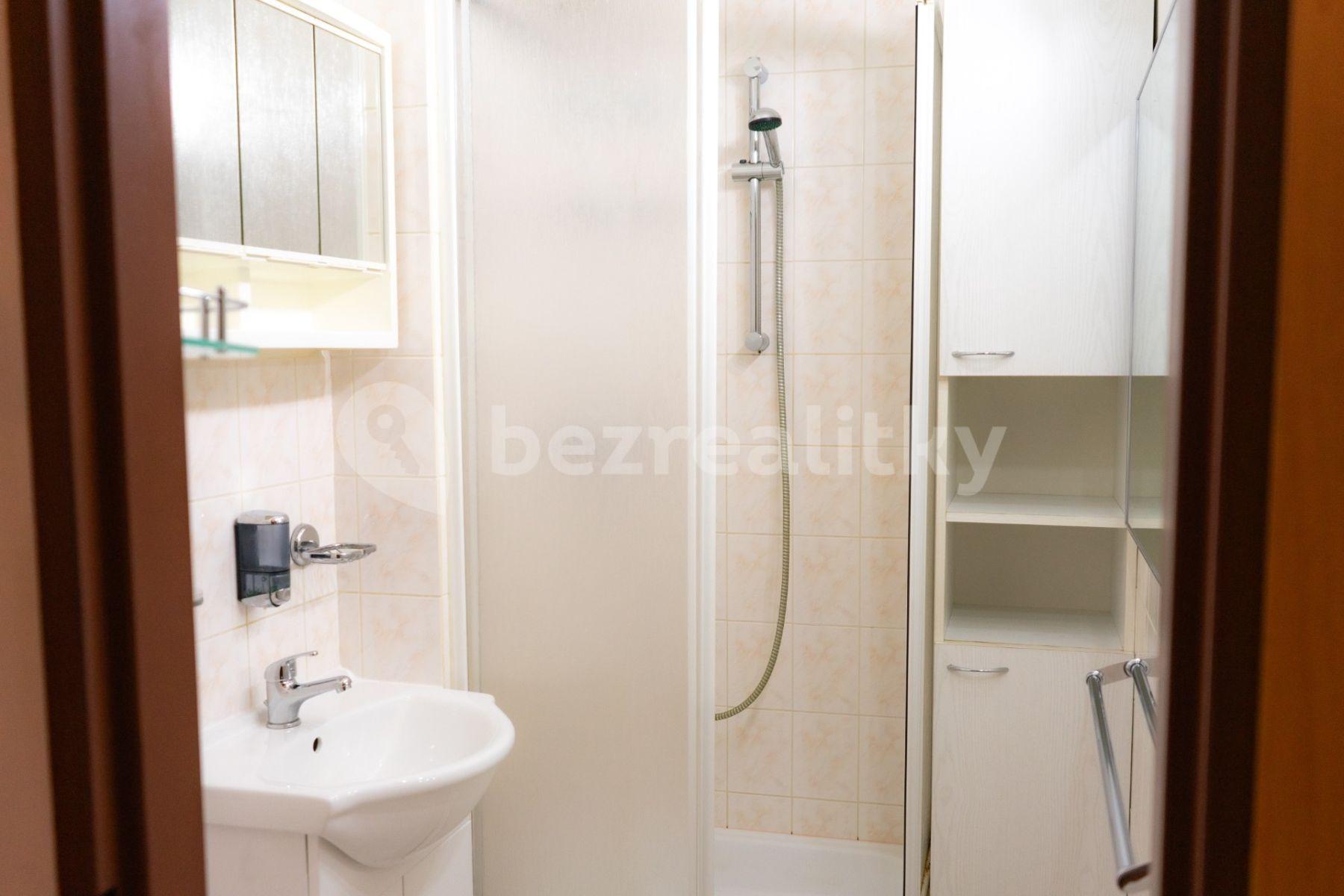 1 bedroom with open-plan kitchen flat to rent, 50 m², Hořanská, Prague, Prague