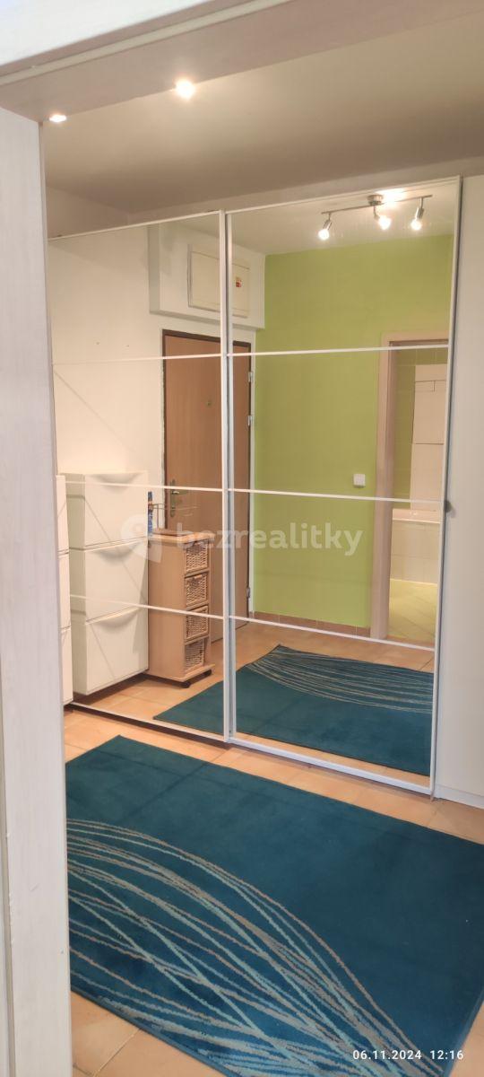 1 bedroom with open-plan kitchen flat to rent, 49 m², Sedláčkova, Brno, Jihomoravský Region