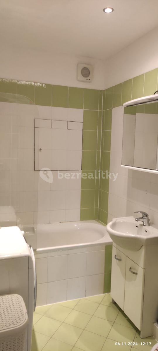 1 bedroom with open-plan kitchen flat to rent, 49 m², Sedláčkova, Brno, Jihomoravský Region