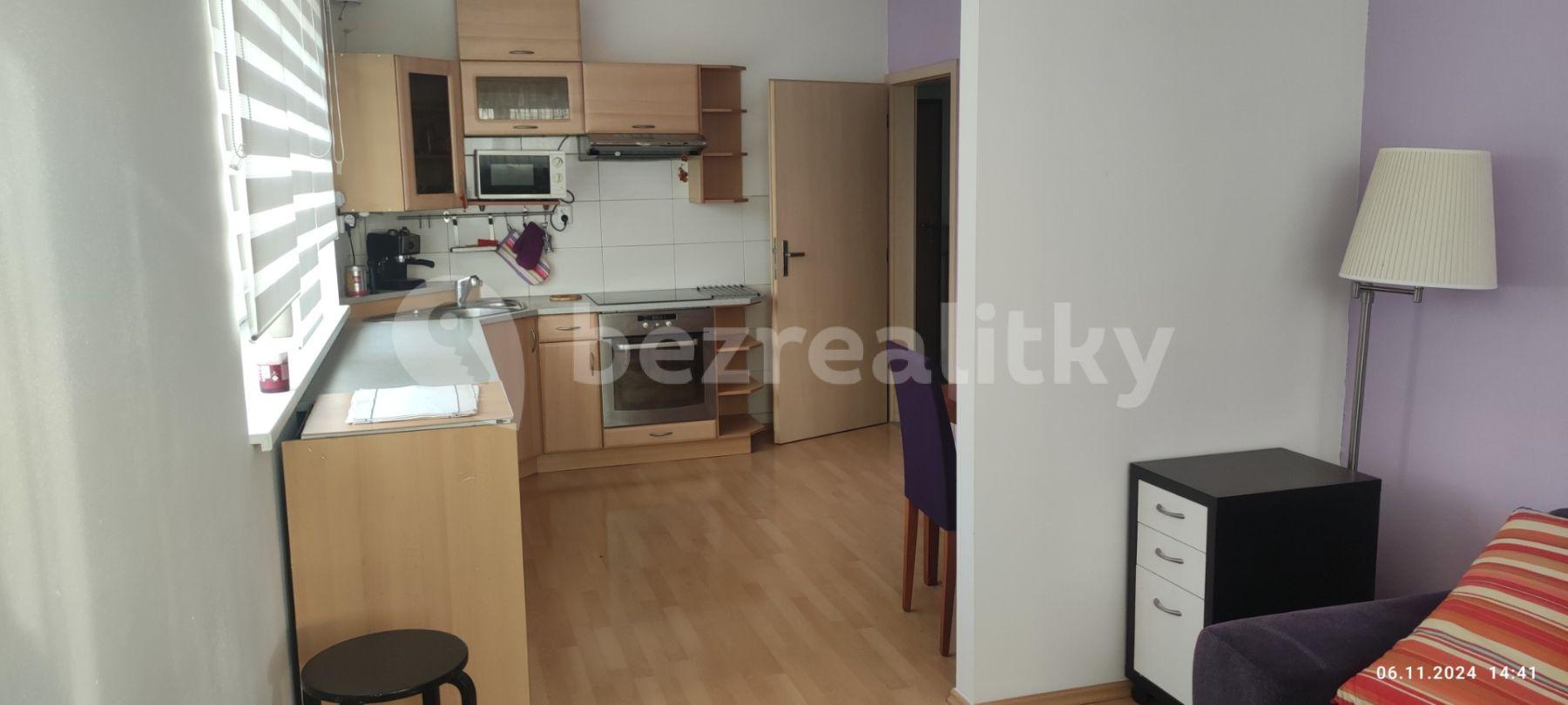 1 bedroom with open-plan kitchen flat to rent, 49 m², Sedláčkova, Brno, Jihomoravský Region