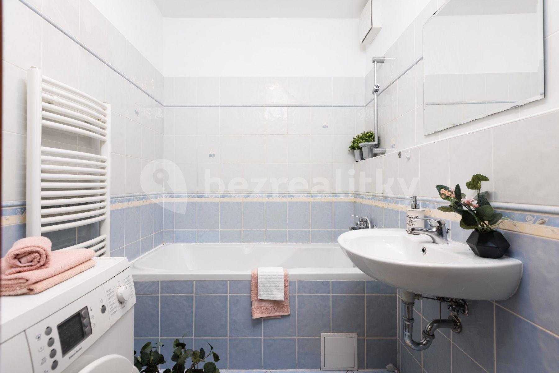 1 bedroom with open-plan kitchen flat to rent, 43 m², Hevlínská, Prague, Prague