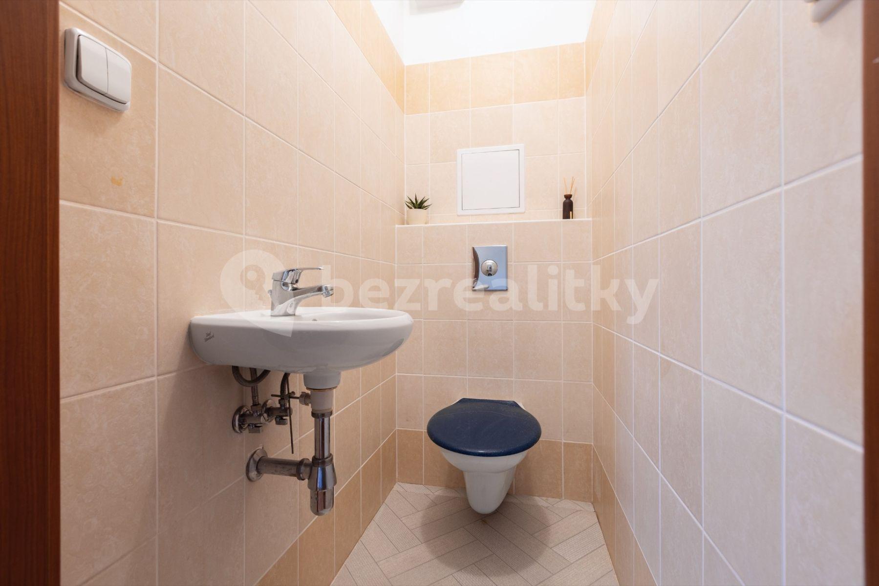 1 bedroom with open-plan kitchen flat to rent, 43 m², Hevlínská, Prague, Prague