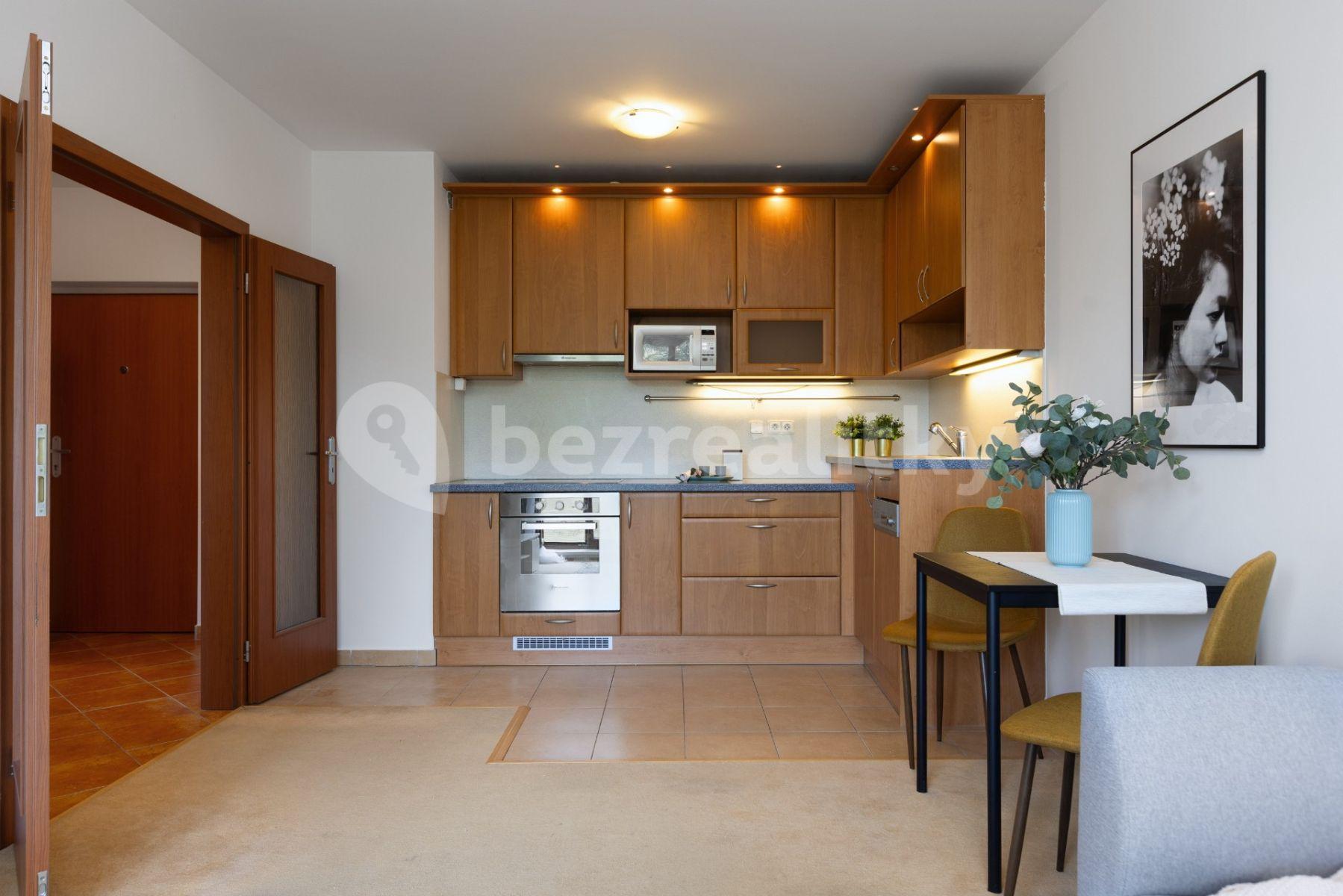 1 bedroom with open-plan kitchen flat to rent, 43 m², Hevlínská, Prague, Prague