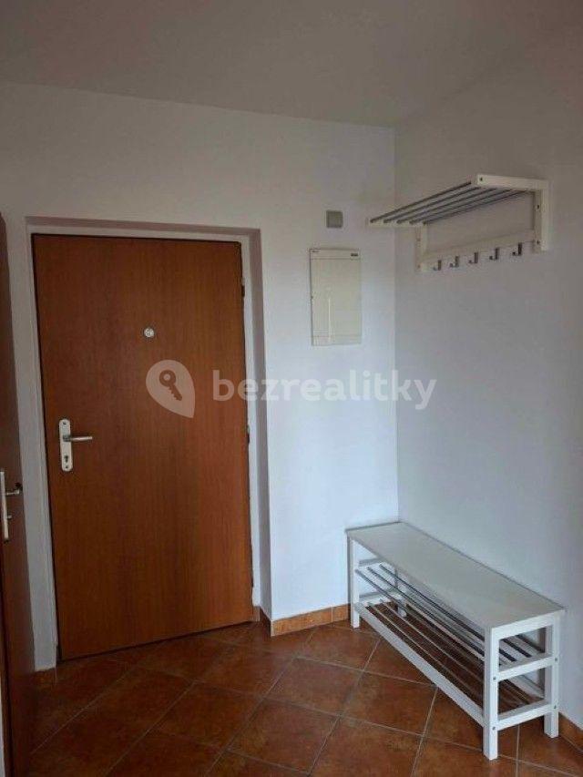 1 bedroom with open-plan kitchen flat to rent, 43 m², Hevlínská, Prague, Prague