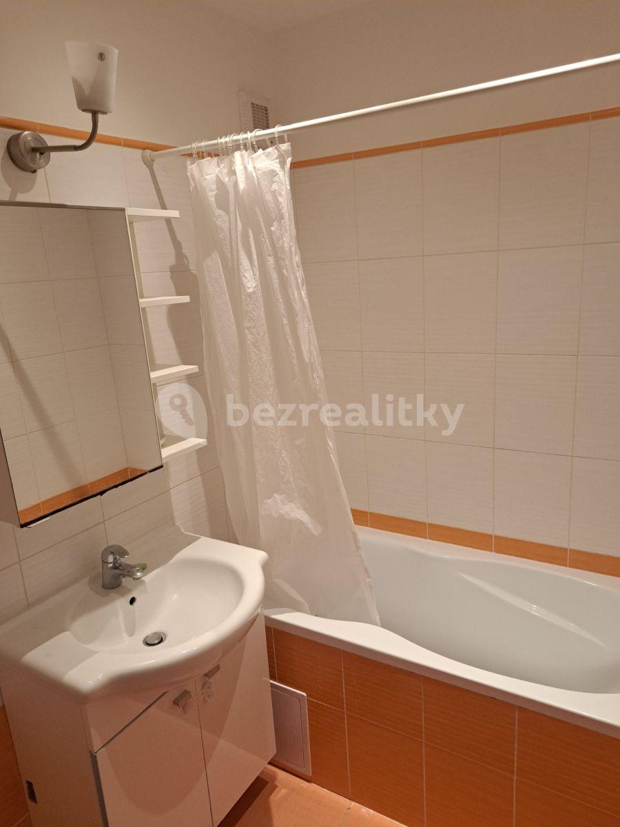 1 bedroom with open-plan kitchen flat to rent, 54 m², Rýmařovská, Prague, Prague