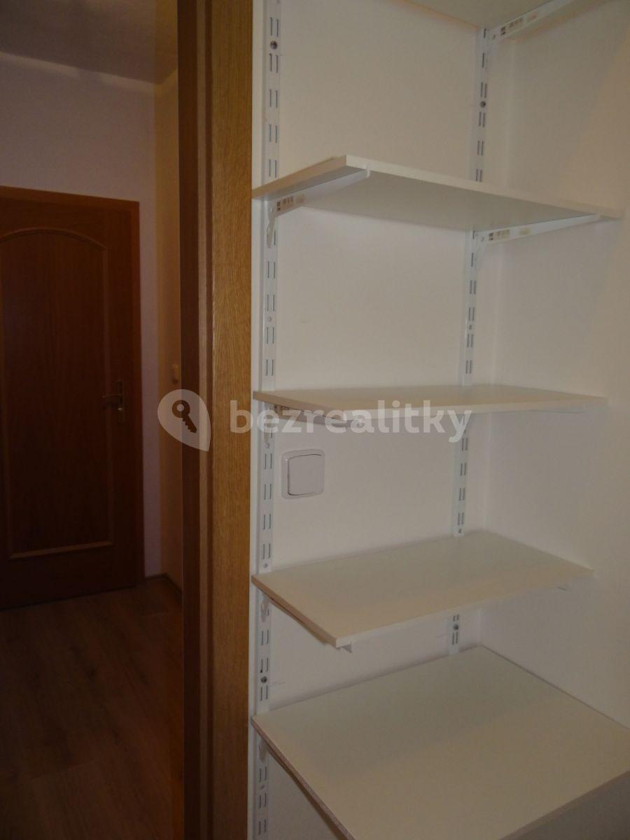 1 bedroom with open-plan kitchen flat to rent, 45 m², Hajní, Prague, Prague