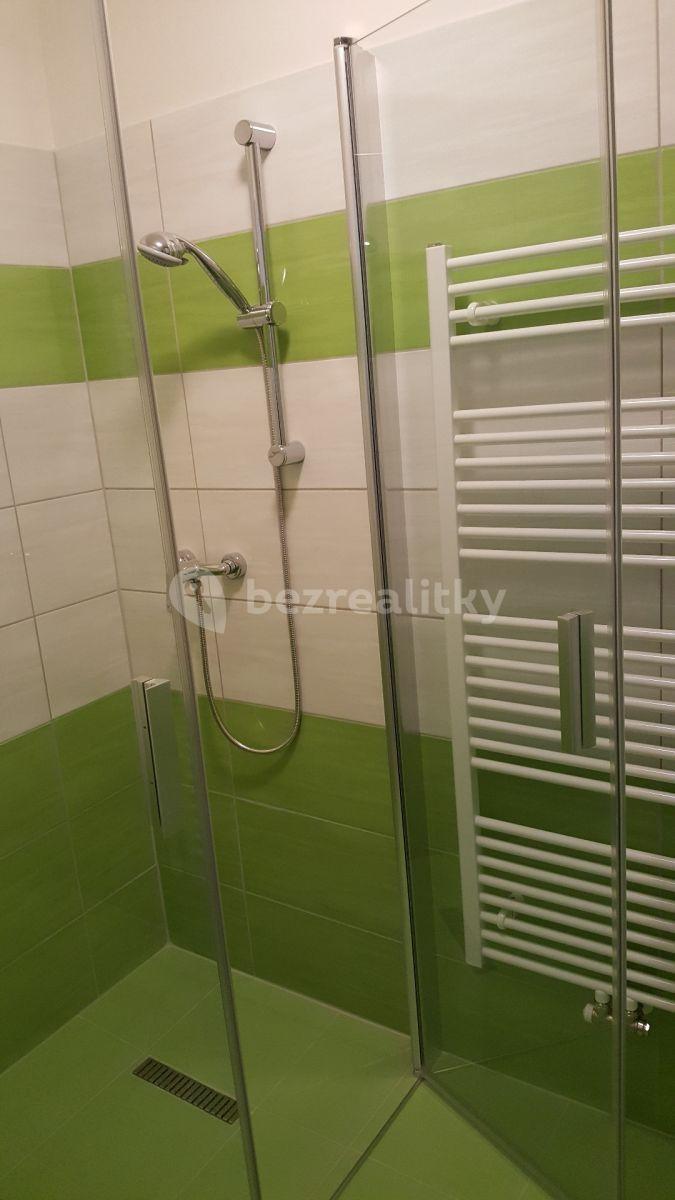 Studio flat to rent, 35 m², U Kavalírky, Prague, Prague